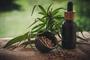 Huile de CBD : comment choisir ?